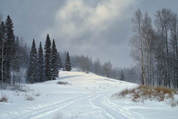 Snow-covered landscape with tire tracks winding through a forest of pine and leafless trees under a cloudy winter sky