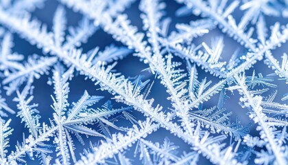 Intricate Blue Ice Crystals Close Up