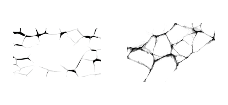 Web structure on transparent background, cut out