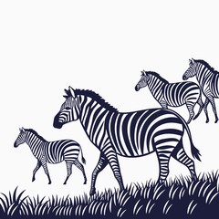 Fototapeta premium A captivating group of zebras gracefully traverses the grassy plains, their striking stripes contrasting against the, creating a mesmerizing
