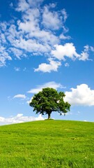 Lush green field with a lone tree under a vibrant blue sky