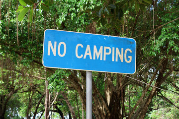 Blue No Camping sign attached to a metal pole in front of trees