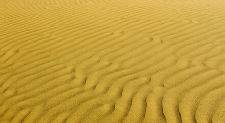 Fototapeta premium Golden sand dune texture