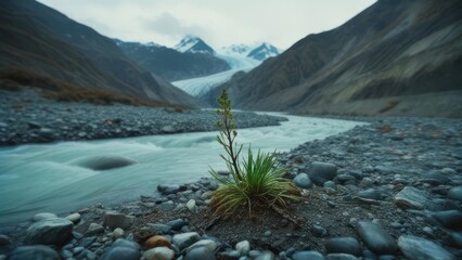 Small plant by a fast-flowing mountain river