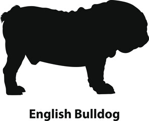 English Bulldog silhouette vector, stocky muscular companion profile with wrinkles, bold black shape, minimal flat style