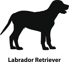 Labrador Retriever dog silhouette vector, solid black canine outline in side view, minimal flat style