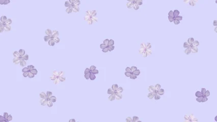Gordijnen Bladeren Floral seamless pattern featuring scattered Cape leadwort flowers against a soft solid purple background  © momosama