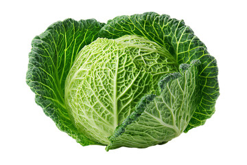 Fototapeta premium a cabbage head with a leafy green head