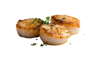Deliciously cooked scallops on a white background, garnished with herbs, perfect for culinary presentations.