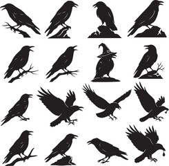 Fototapeta premium Mysterious Crows Silhouette Collection: This evocative image showcases a captivating array of crow silhouettes, their dark forms poised against a stark backdrop.