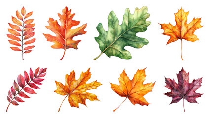 Fototapeta premium Vibrant watercolor autumn leaves