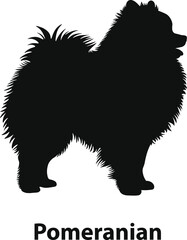 Pomeranian dog fluffy silhouette in playful toy dog style for apparel prints and packaging