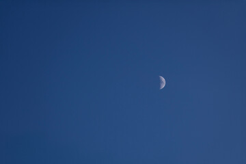 薄暮に浮かぶ半月