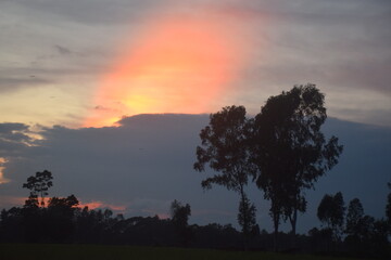 Village and Nature Lifestyle – Trees, Rivers, Fishing, Boats, Greenery, Flowers, and Traditional Life Elements