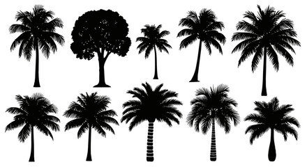 Tropical Tree Silhouettes Diverse Foliage Collection