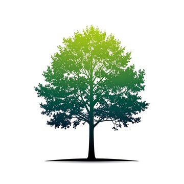 Green gradient tree silhouette