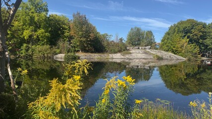 Late summer by the tranquil lake