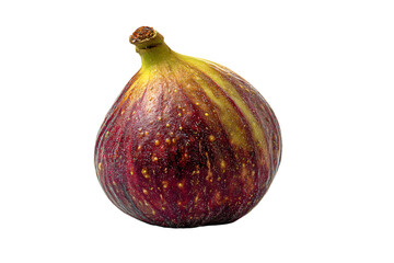 a fig is shown on a white background