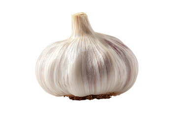a garlic bulb on a white background