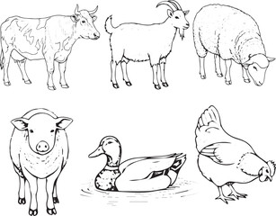 Farm Animal Icon Set, Cow, Goat, Sheep, Pig, Duck, and Chicken in Black and White Vector Style