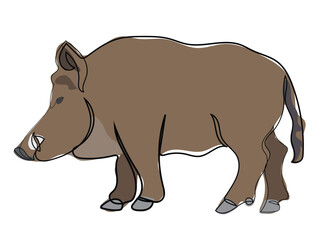 Wild boar in continuous line drawing style