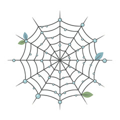 Spider Web with Morning Dew Drops