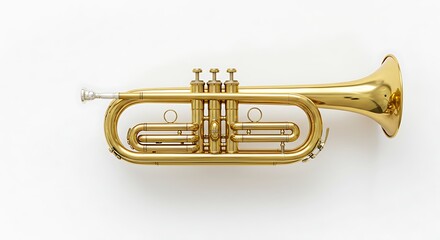 Polished Brass Cornet, Studio Shot, High-Key Lighting, Musical Instrument.