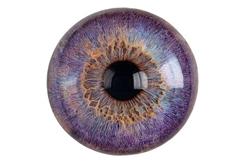 a close up of a purple eye with a black pupil