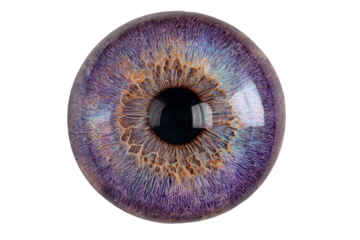 a close up of a purple eye with a black pupil