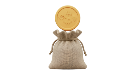 money bag with coins