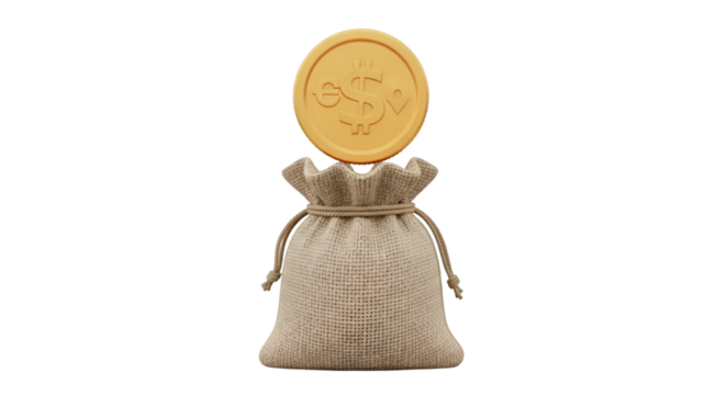 money bag with coins