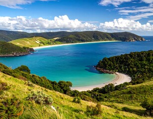 Obraz premium A stunning coastal scene reveals a secluded bay with a pristine white sand beach, framed by lush greenery and dramatic hills, bathed in vibrant sunlight.