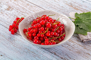 Raw ripe sweet juicy red currant