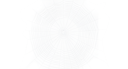 spider web on black background