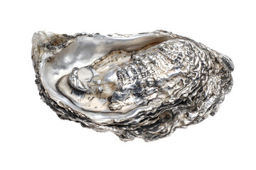 a silver oyster with a pearl in it