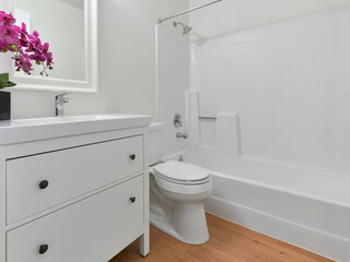 Modern residential bathroom interior