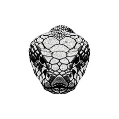Intricate dotwork illustration of a venomous viper head in a symmetrical front view