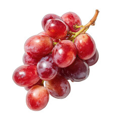 Fototapeta premium Close-up of a bunch of red grapes