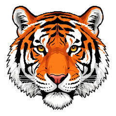 Majestic Tiger Head Illustration Fierce and Powerful Big Cat Portrait