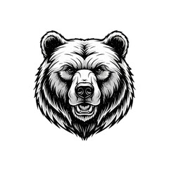 Majestic Bear Head Illustration Strong Wildlife Portrait with Bold Lines