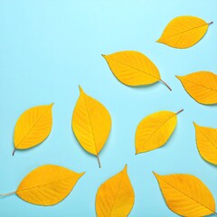 Vibrant yellow leaves scattered on a light teal background