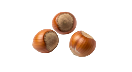 hazelnuts isolated on white background