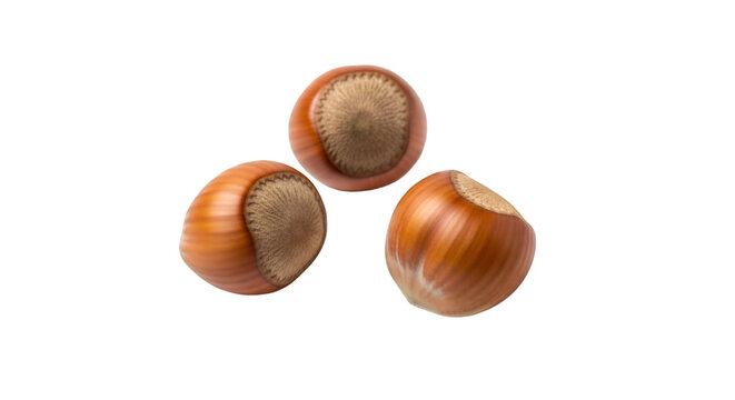 hazelnuts isolated on white background
