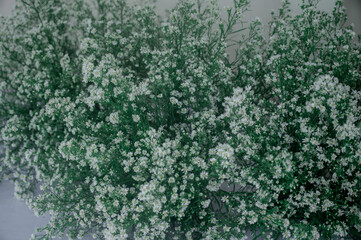 abstract green background