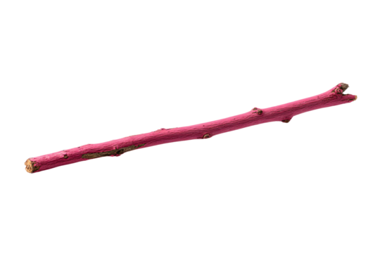 a pink branch with a brown stem sticking out of it