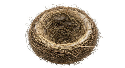 bird nest on white background