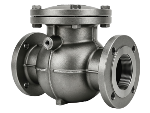 Industrial cast iron steam trap check valve with flanged ends on a transparent background