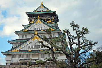 Fototapeta premium 大阪城