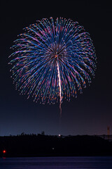夜空に咲く円形の大輪花火