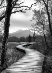 curved wooden boardwalk leading through tall grass and sparse trees with distant misty mountains under cloudy sky in black and white